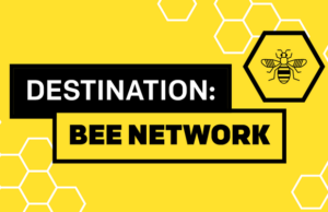  Bee network APK download 