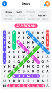 Word Search APK Free Download 2